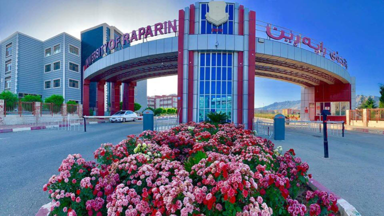 دانشگاه پلی تکنیک